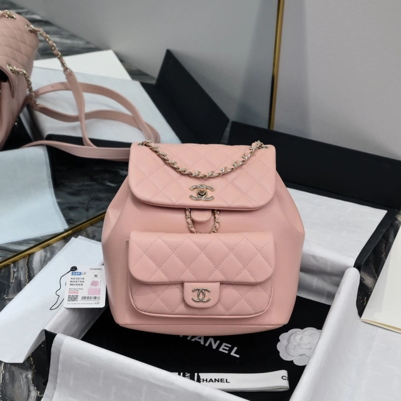 Ch**el backpacks 4017-2246