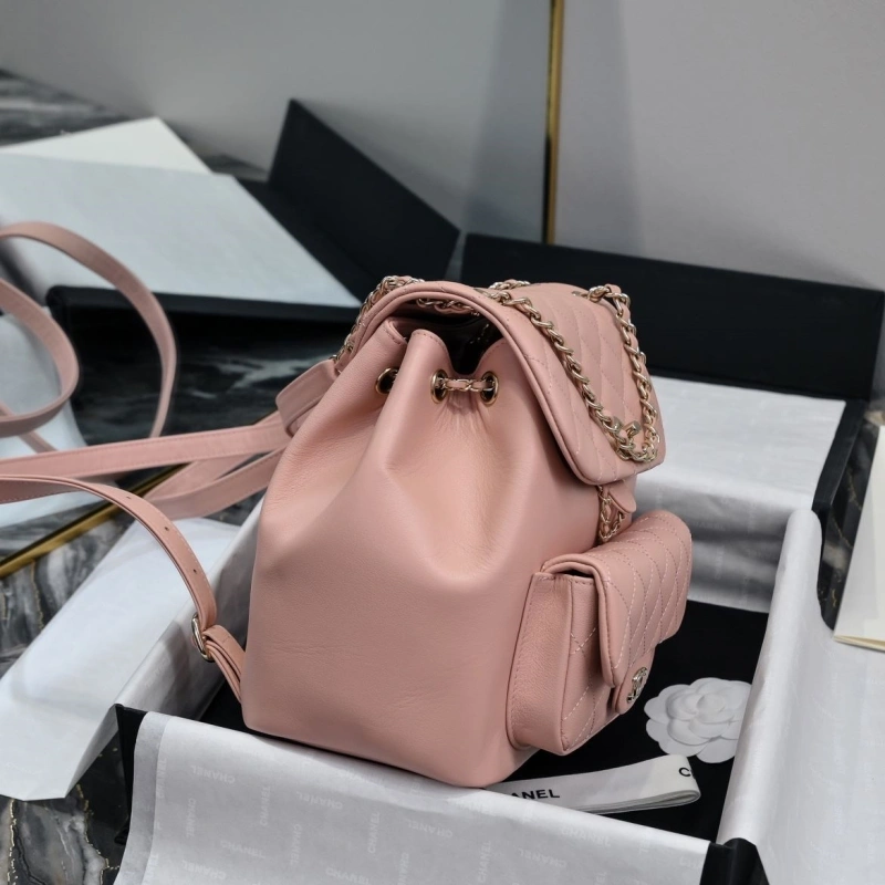 Ch**el backpacks 4017-2246