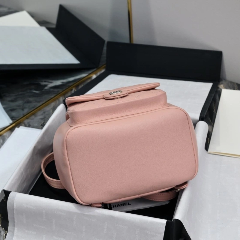 Ch**el backpacks 4017-2246