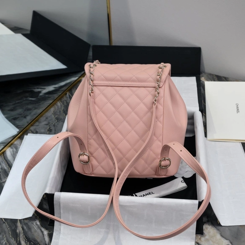 Ch**el backpacks 4017-2246