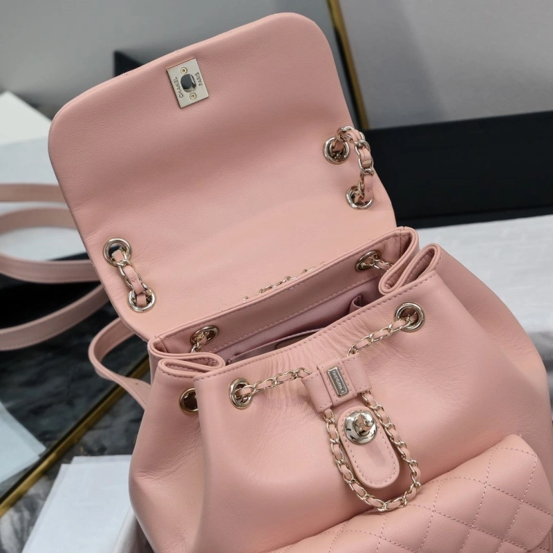 Ch**el backpacks 4017-2246