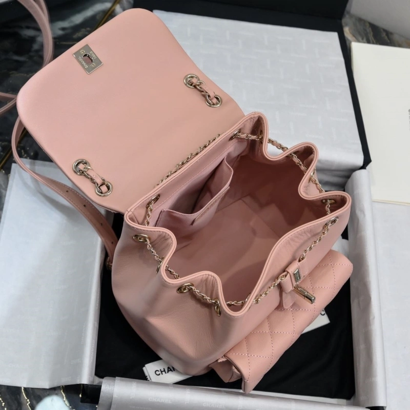 Ch**el backpacks 4017-2246