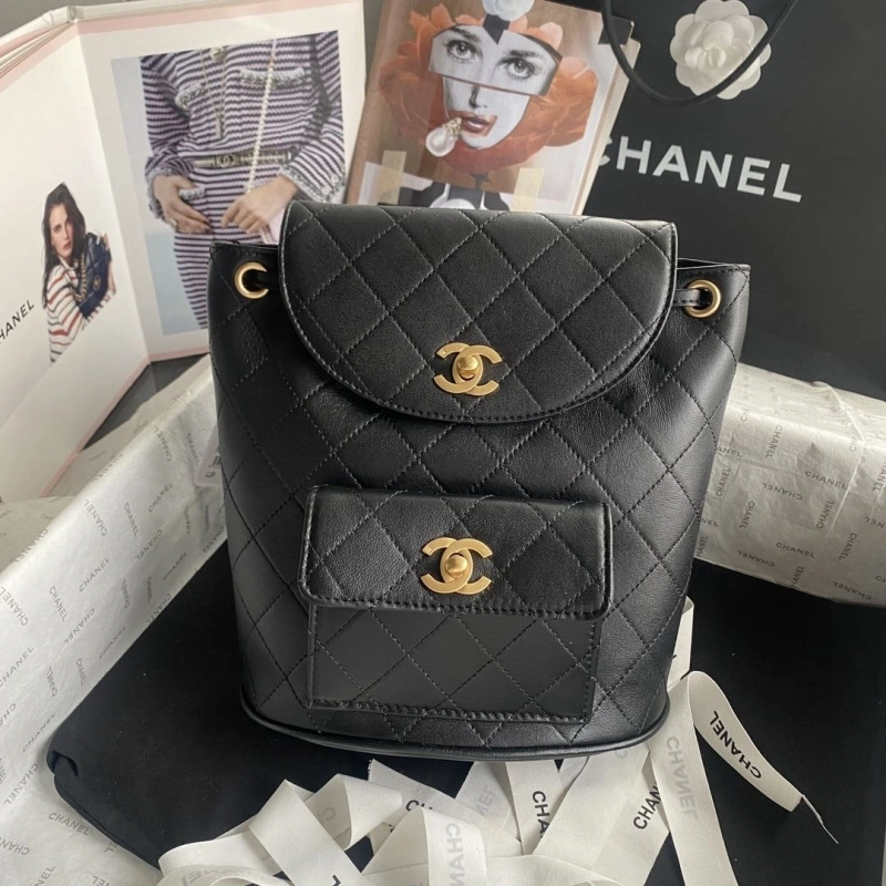 Ch**el backpacks 4017b-0052