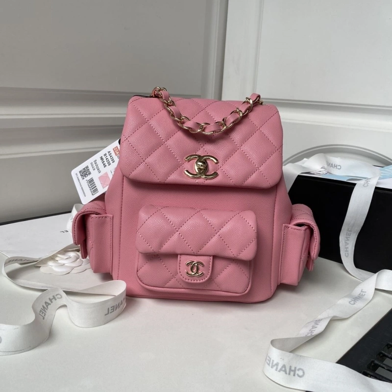 Ch**el backpacks 4017b-0065