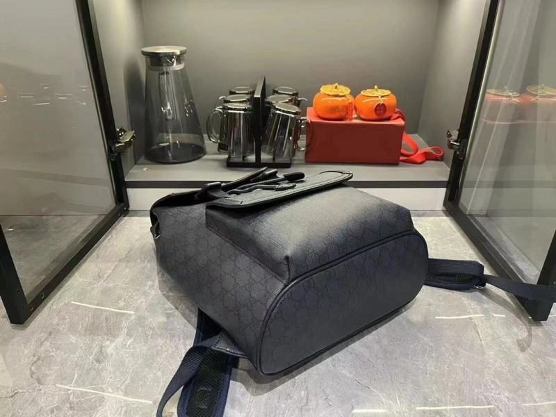 Gvc*1 backpacks 4032-0798