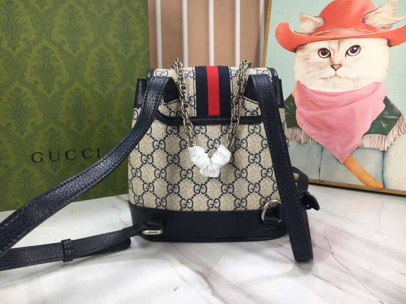 Gvc*1 backpacks 4032-1197