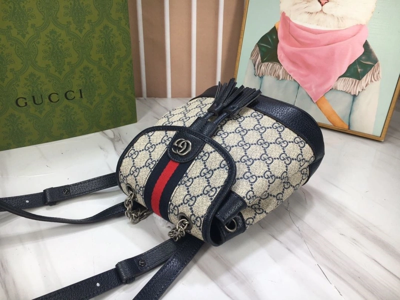 Gvc*1 backpacks 4032-1197
