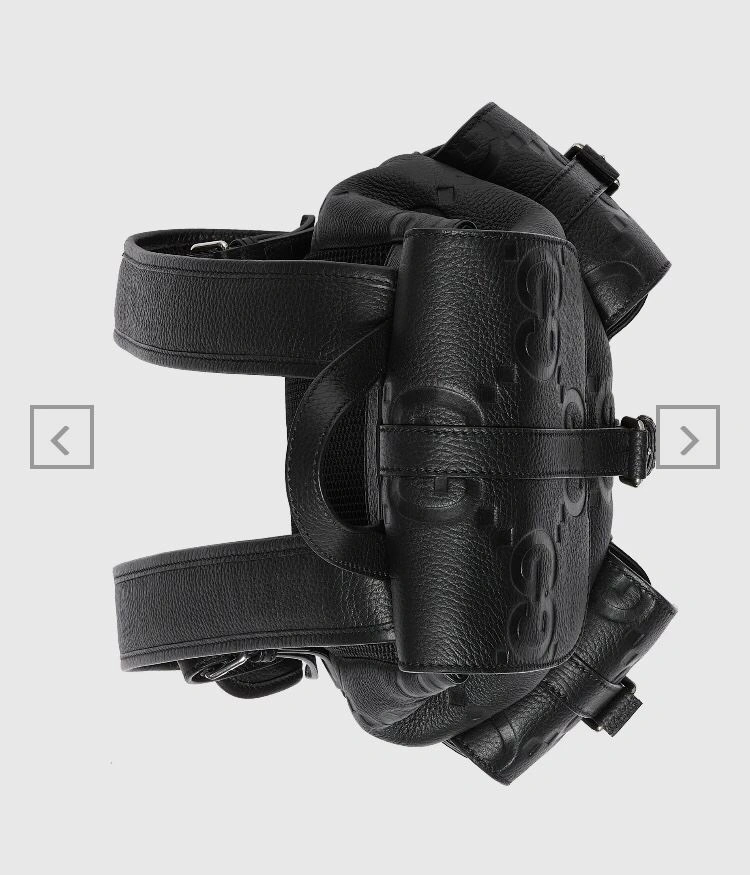 Gvc*1 backpacks 4033-0053
