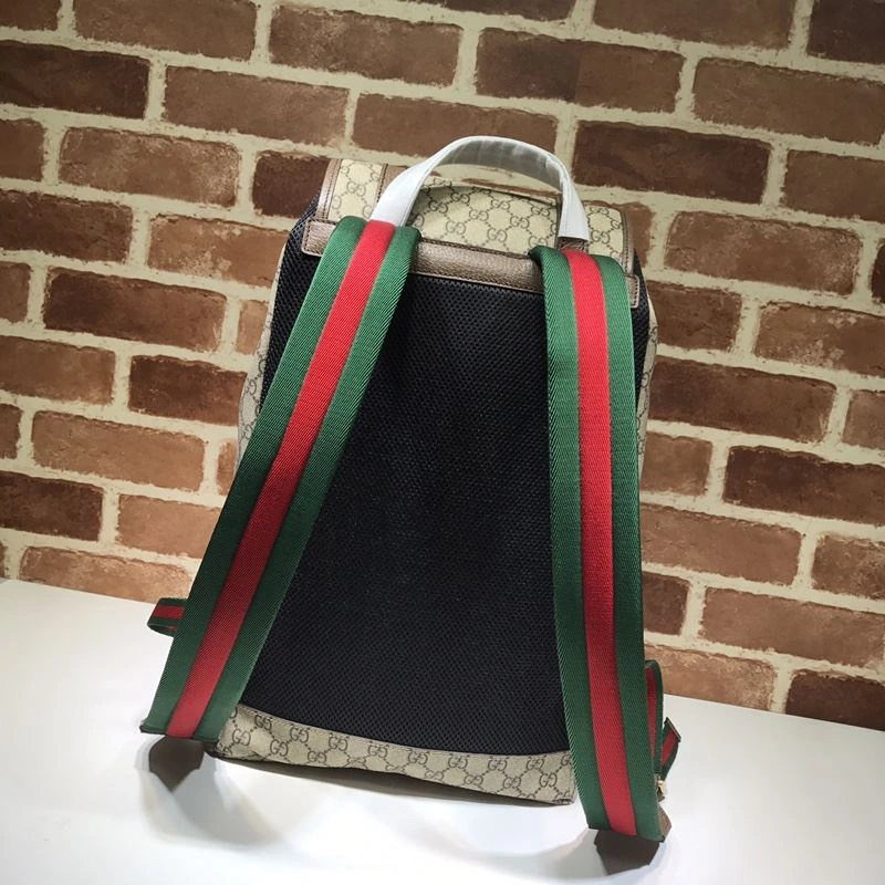Gvc*1 backpacks 4033-0113