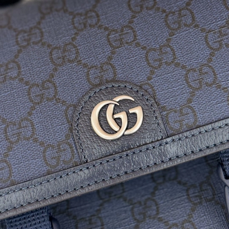 Gvc*1 backpacks 4036-0215