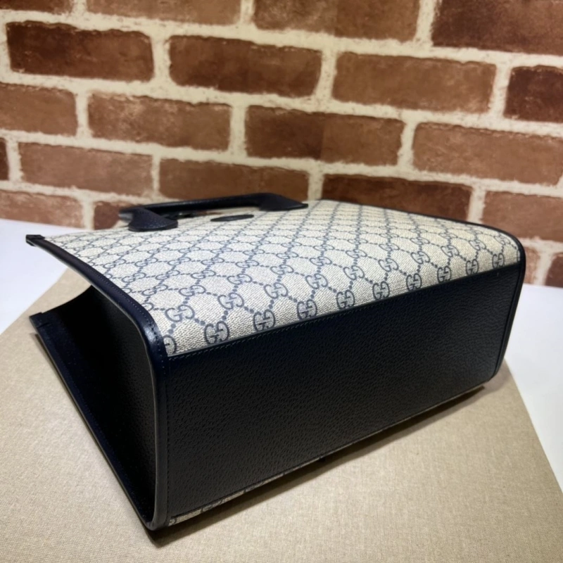 Gvc*1 shopping bags 4036b-0255