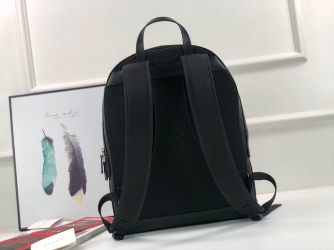 Gvc*1 backpacks 4036b-0610