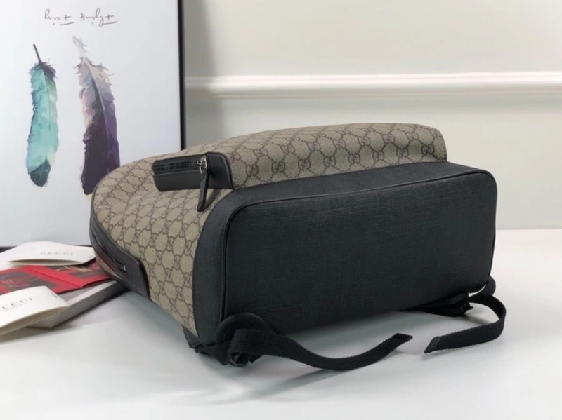 Gvc*1 backpacks 4036b-0611