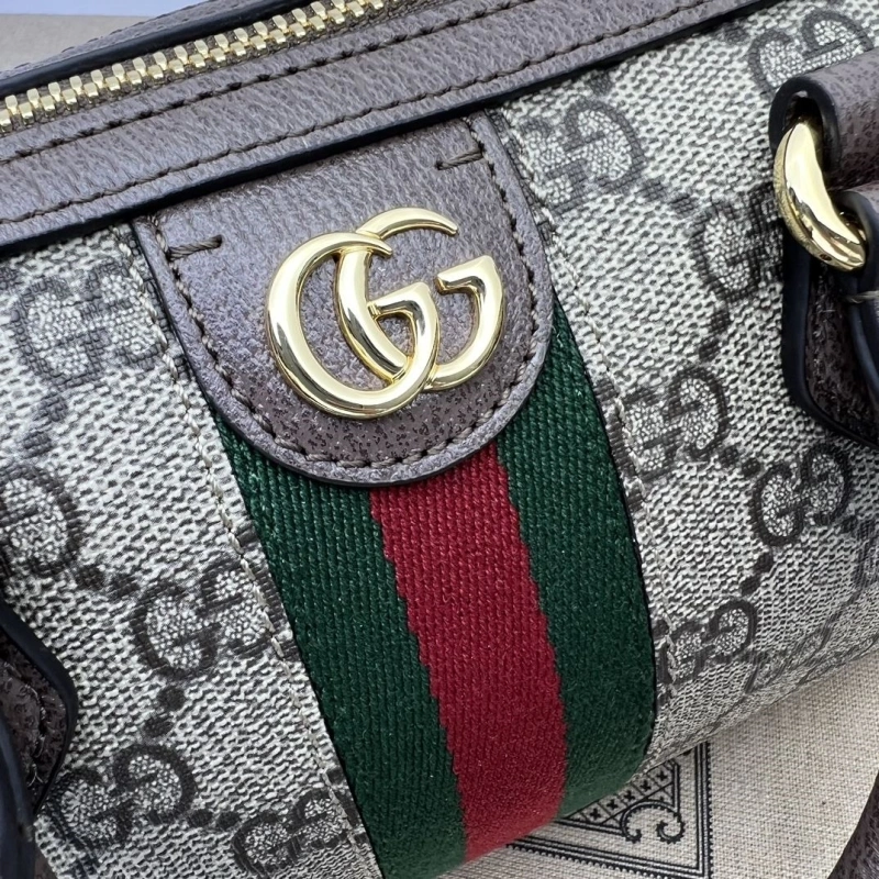 Gvc*1 speedy bags 4036b-0733