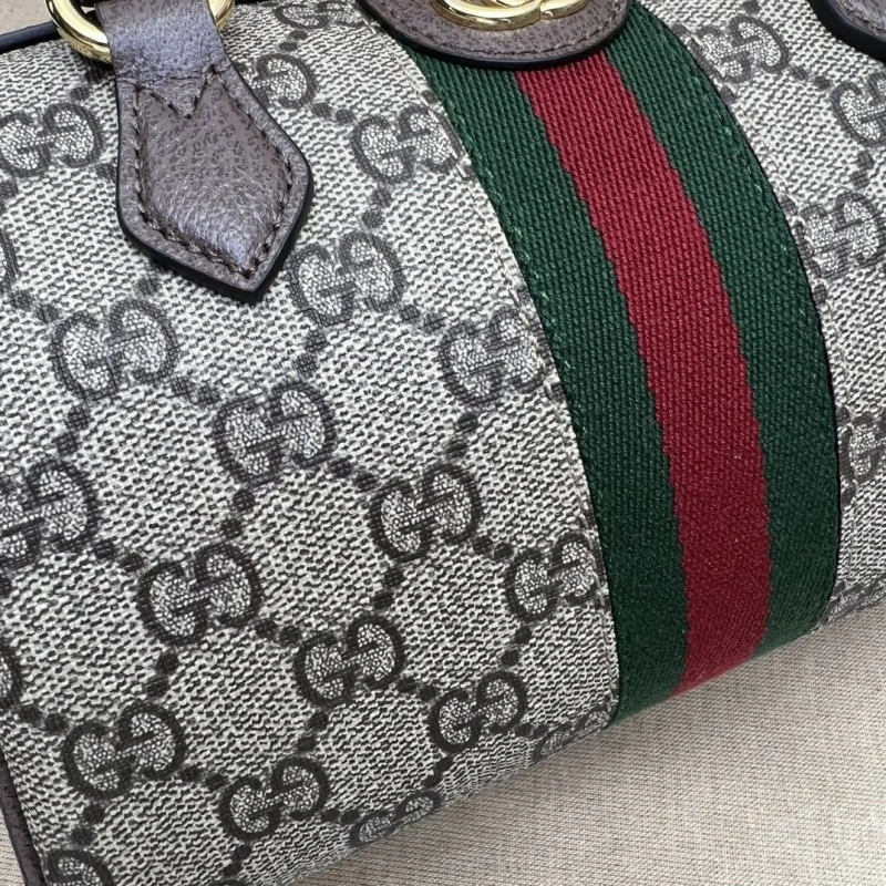 Gvc*1 speedy bags 4036b-0733