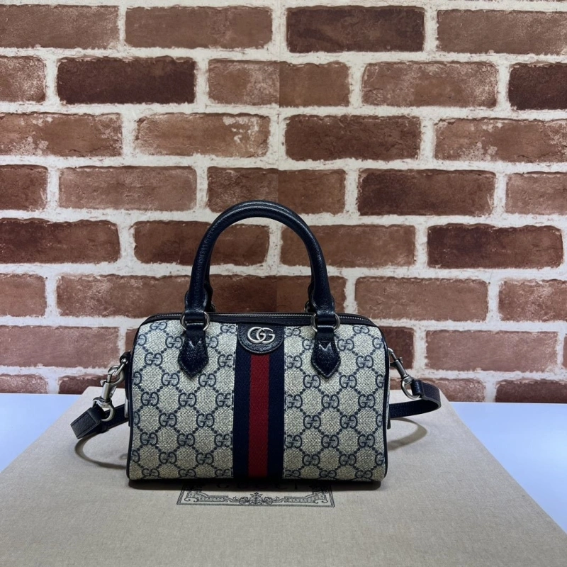 Gvc*1 speedy bags 4036b-0734