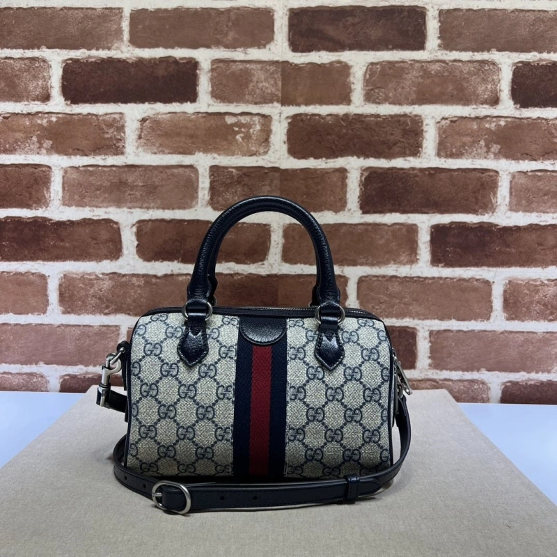 Gvc*1 speedy bags 4036b-0734