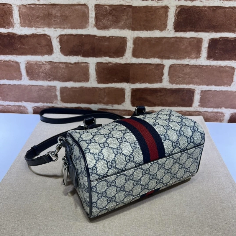 Gvc*1 speedy bags 4036b-0734