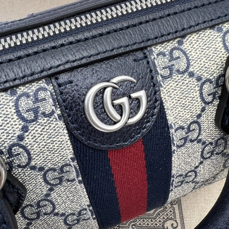 Gvc*1 speedy bags 4036b-0734