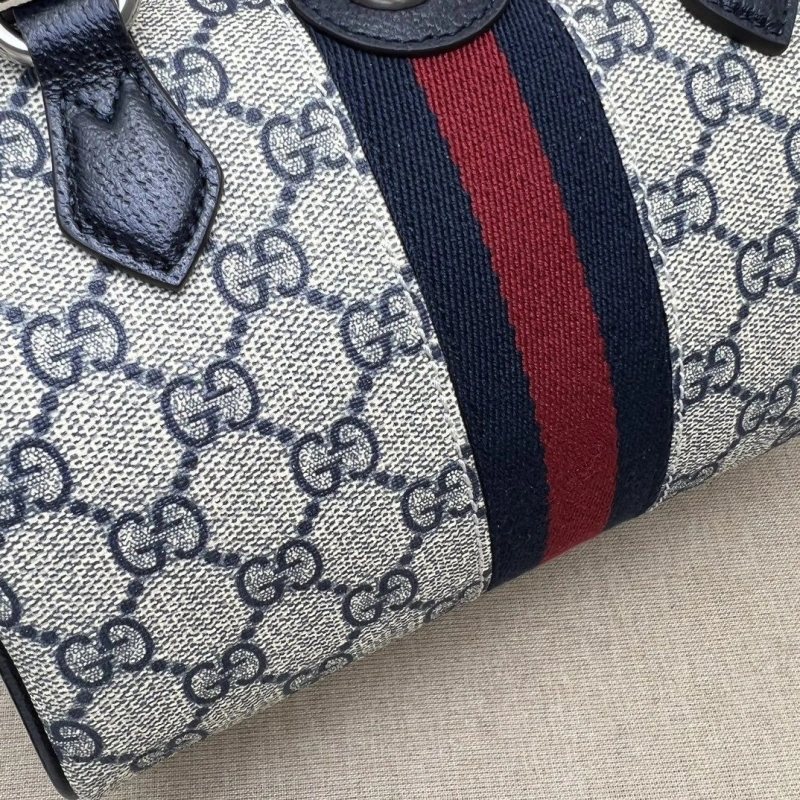 Gvc*1 speedy bags 4036b-0734