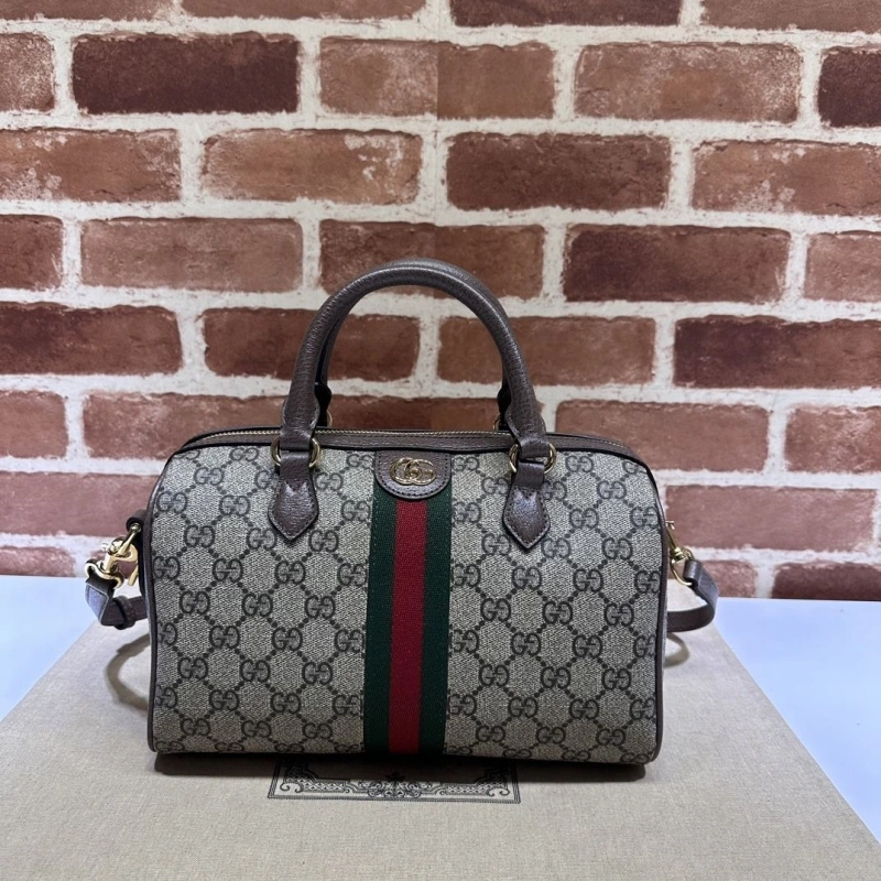Gvc*1 speedy bags 4036b-0736