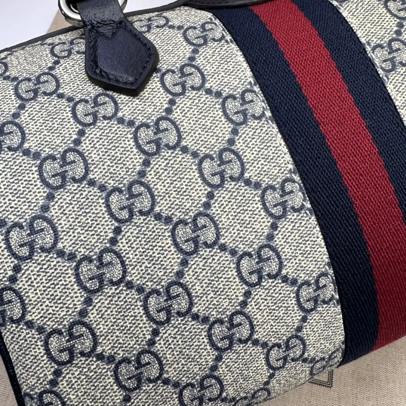 Gvc*1 speedy bags 4036b-0737