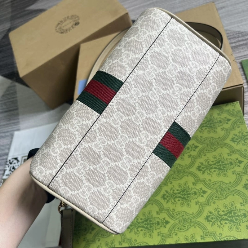 Gvc*1 speedy bags 4036c-3482
