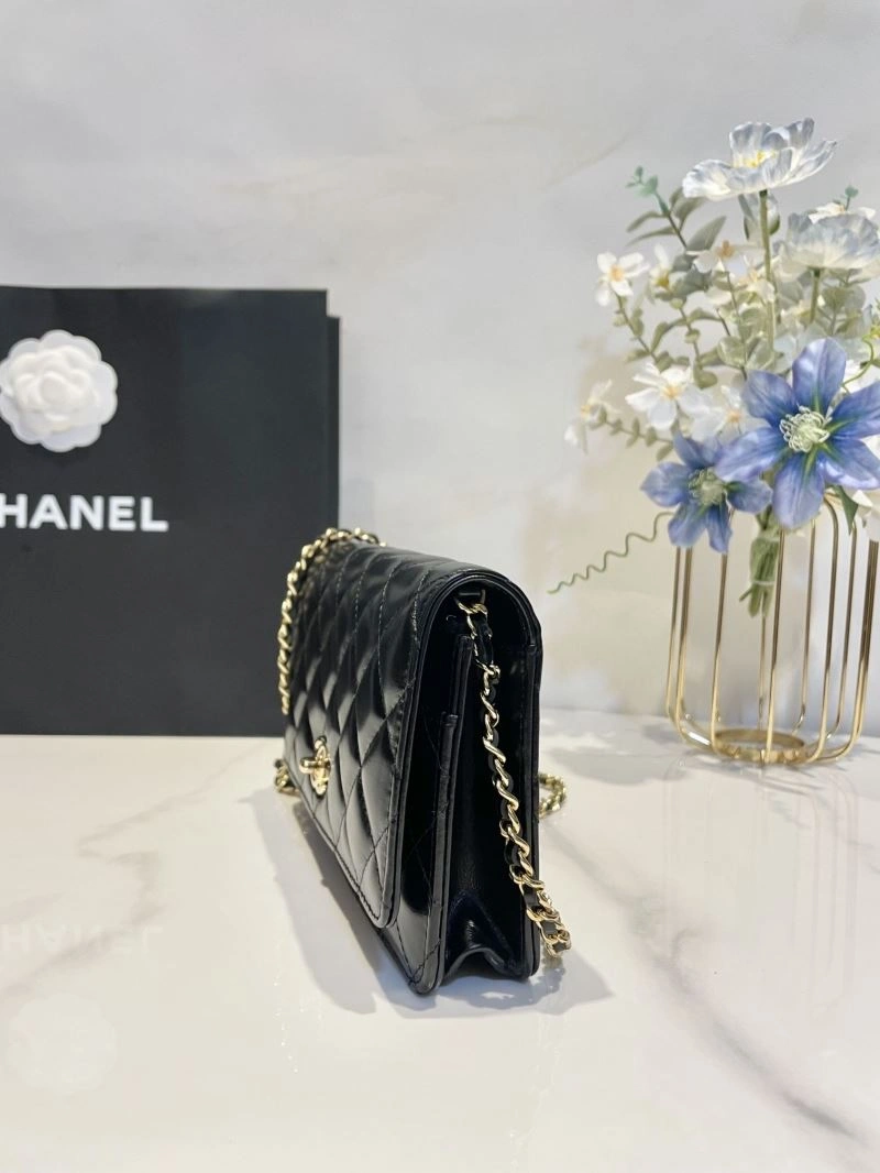 Ch**el 19 bags 4046g-0034