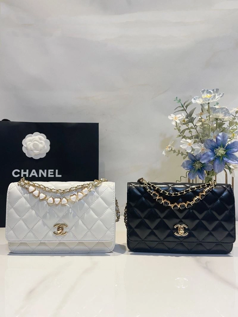 Ch**el 19 bags 4046g-0035