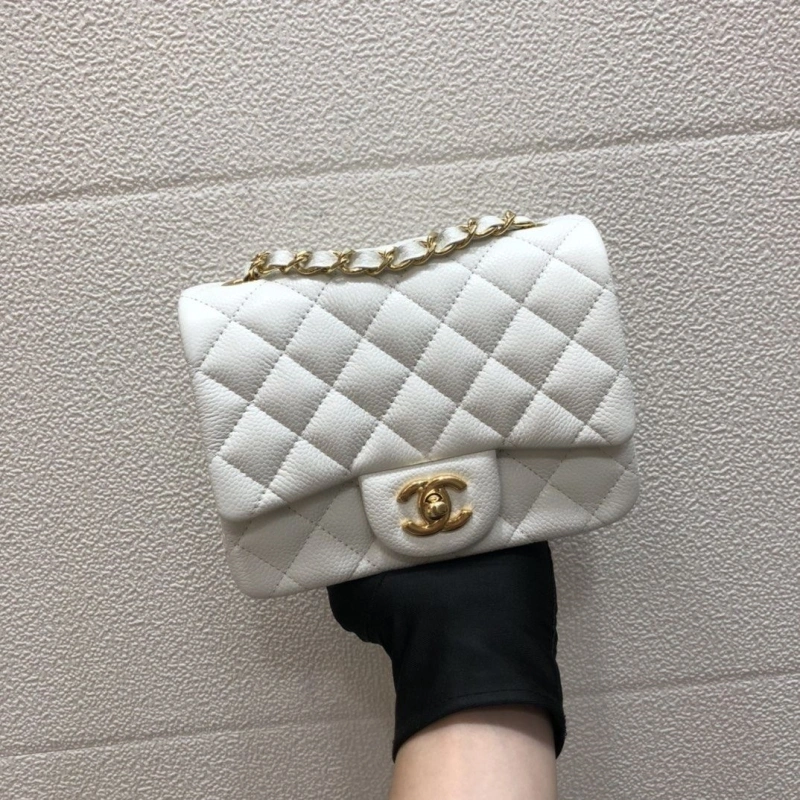 Ch**el cf series bags 4046h-0150