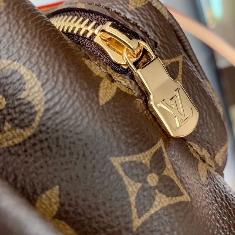 LV Backpacks 4048I-0233