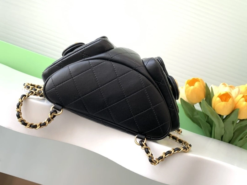 Ch**el backpacks 4049h-0258