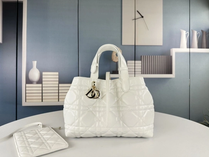 D10r shopping bags 4081b-1725