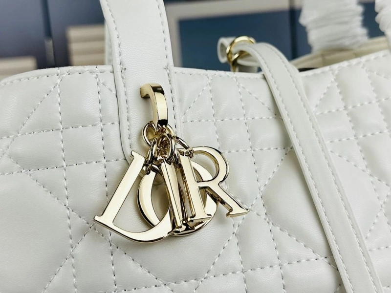 D10r shopping bags 4081b-1726