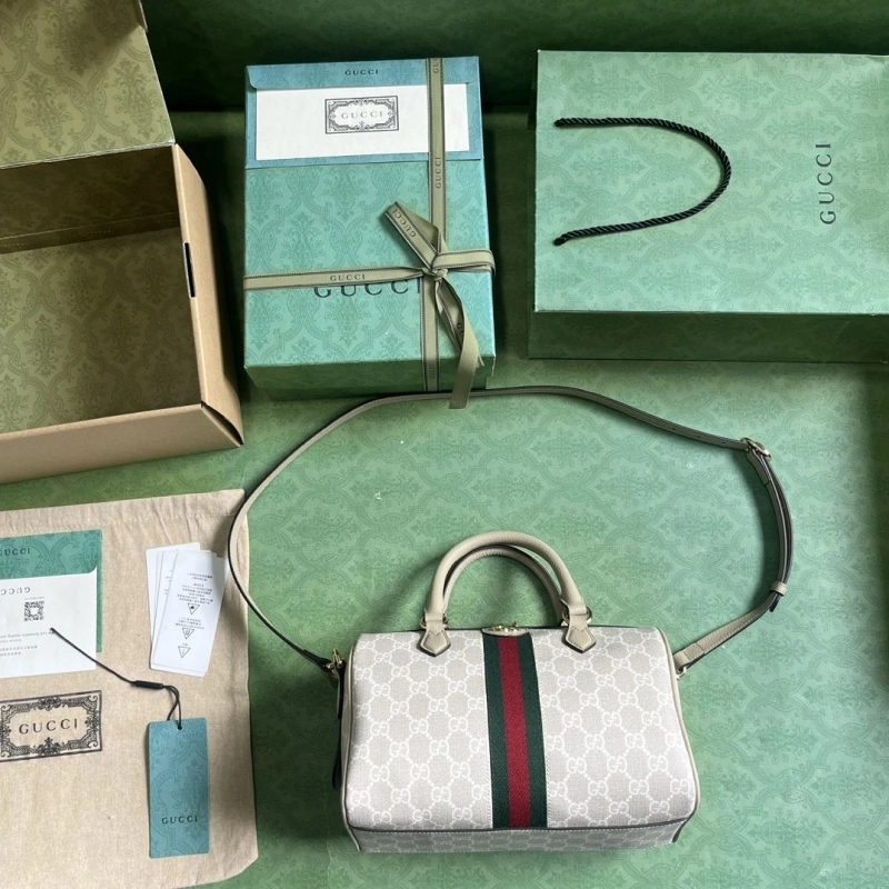 Gvc*1 speedy bags 4094b-0167