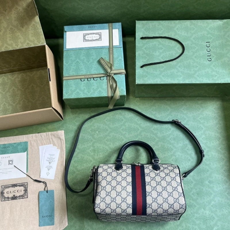 Gvc*1 speedy bags 4094b-0168