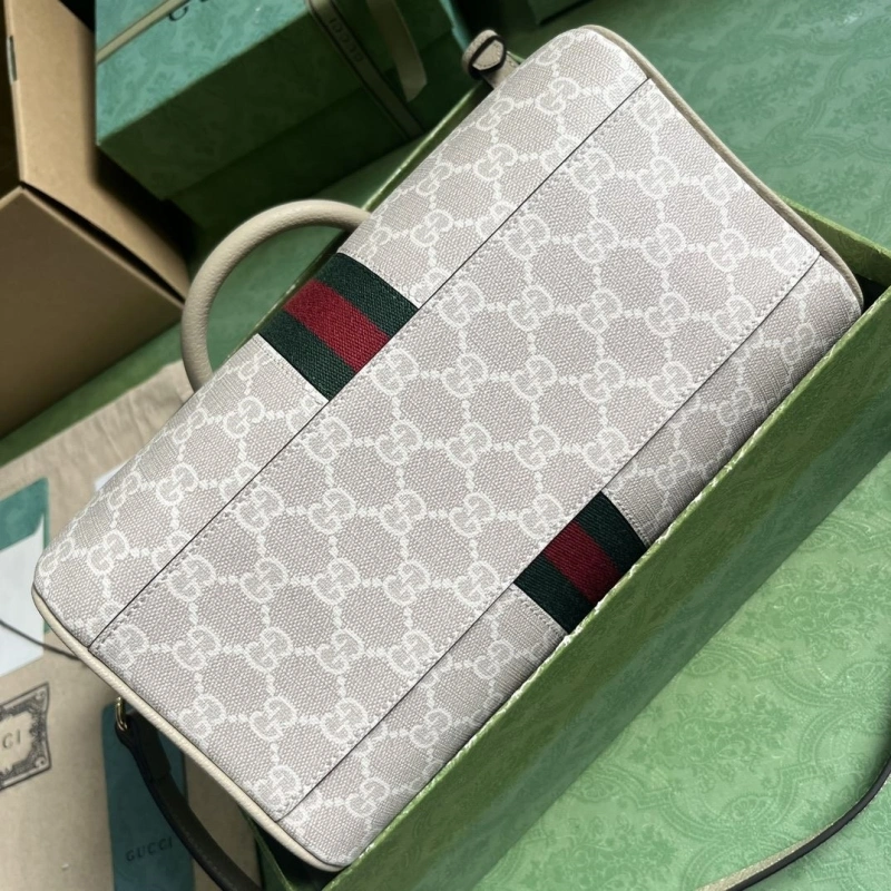 Gvc*1 speedy bags 4094f-0067