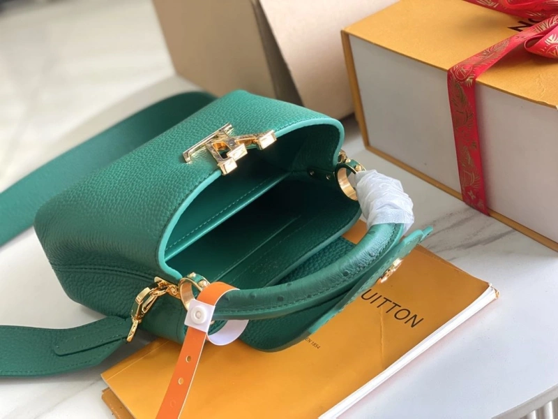 LV Capucines Bags 4171D-0166