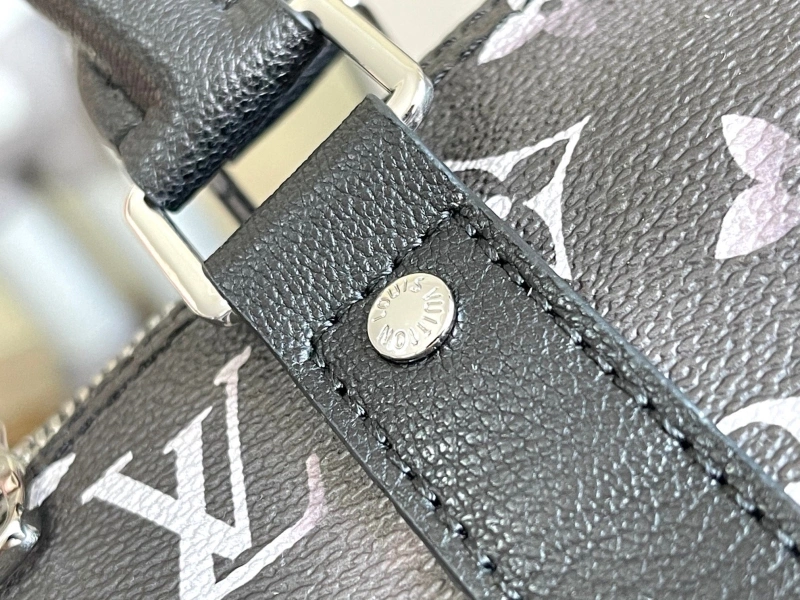 LV Travel Bags 4171F-0025