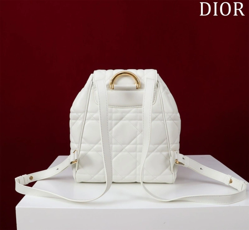 D10r backpacks 4180f-0483