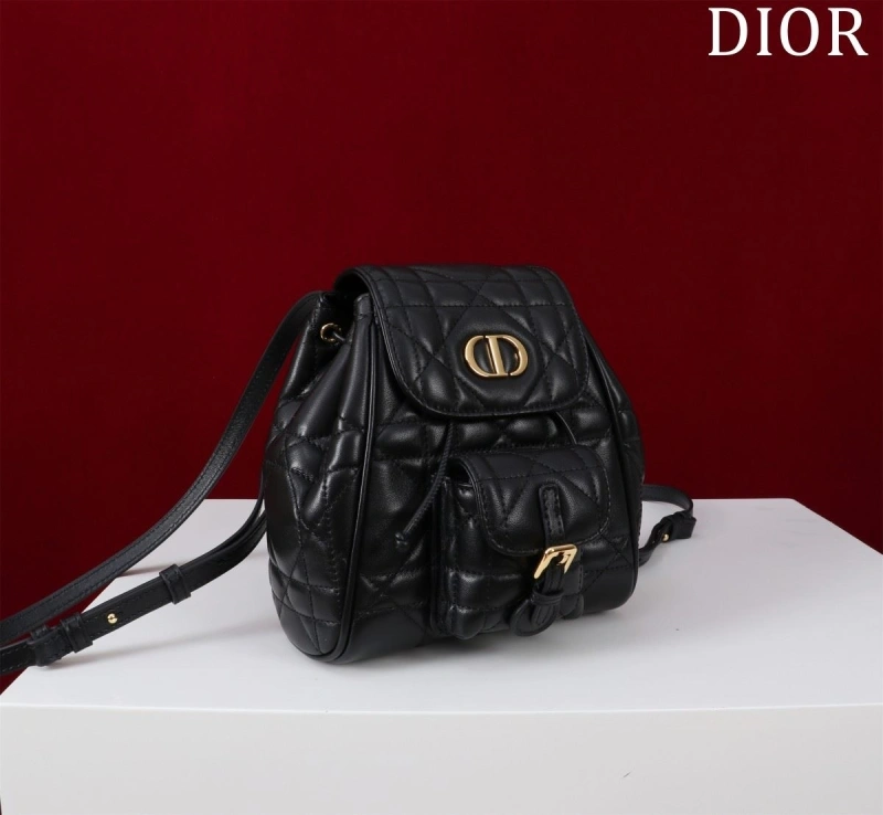 D10r backpacks 4180f-0484