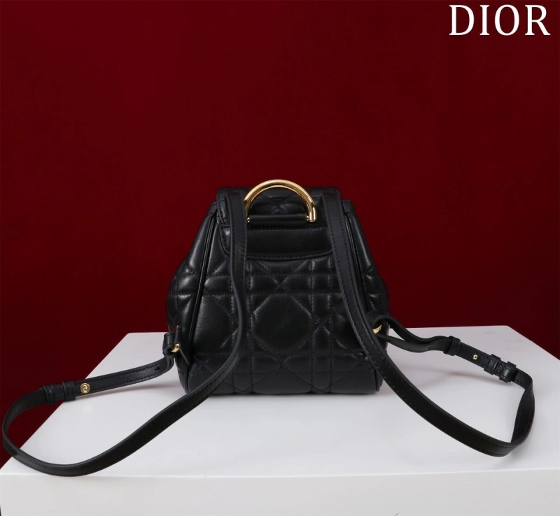 D10r backpacks 4180f-0484