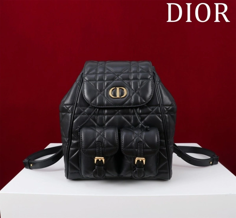 D10r backpacks 4180f-0485