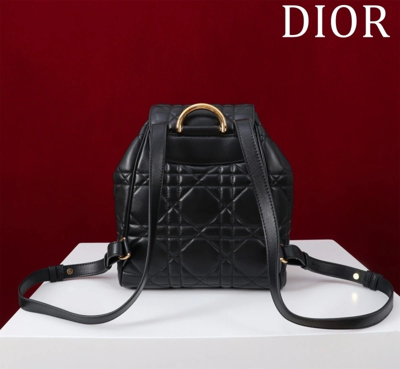 D10r backpacks 4180f-0485