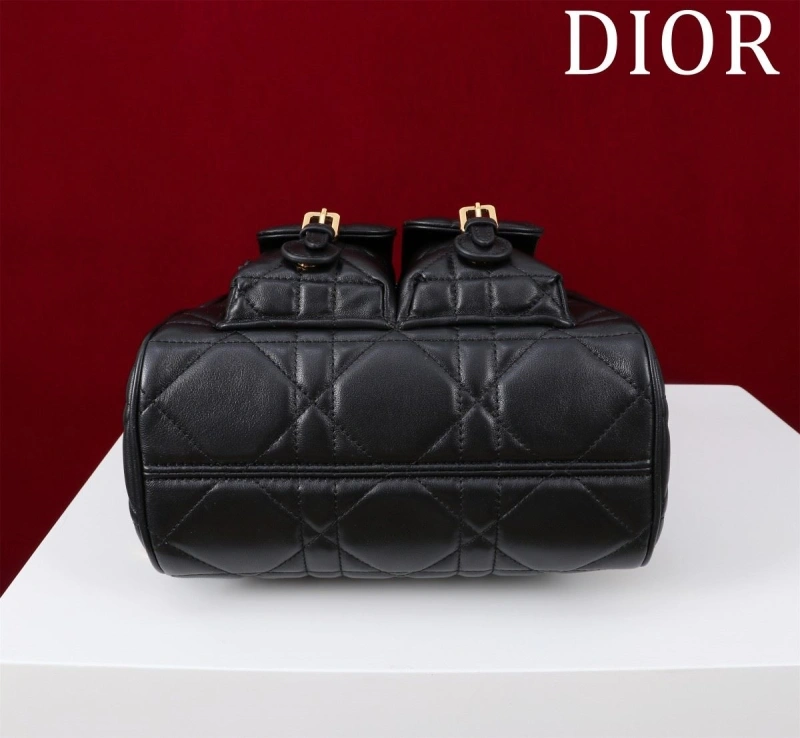 D10r backpacks 4180f-0485