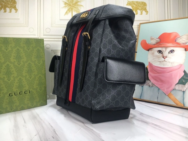 Gvc*1 backpacks 4186-0206