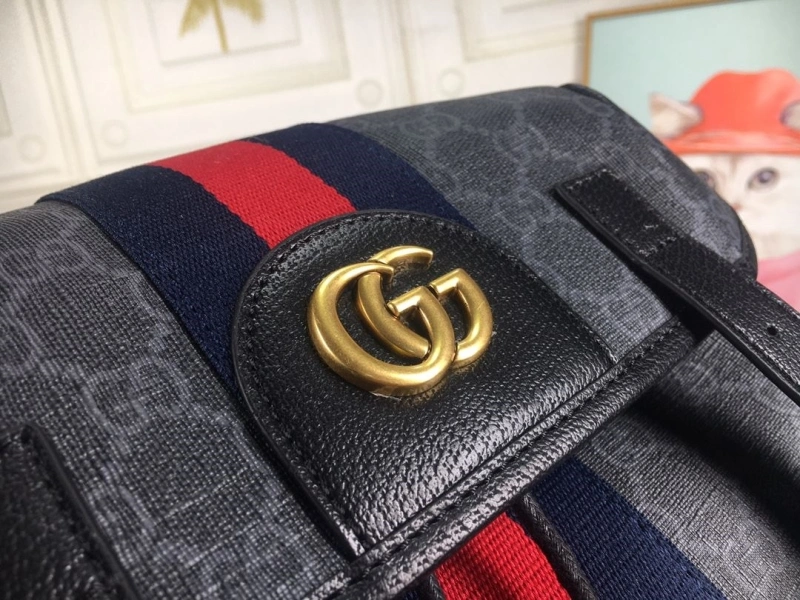 Gvc*1 backpacks 4186-0206