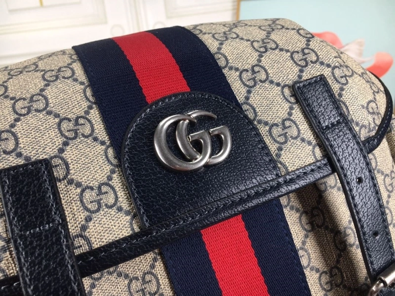 Gvc*1 backpacks 4186-0207