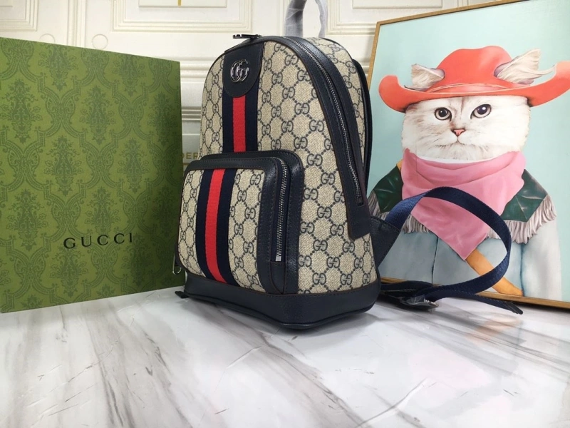 Gvc*1 backpacks 4186-0590