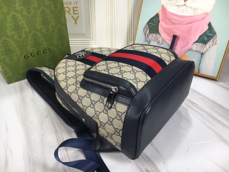 Gvc*1 backpacks 4186-0590